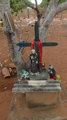 Traditional healer for dream interpretation